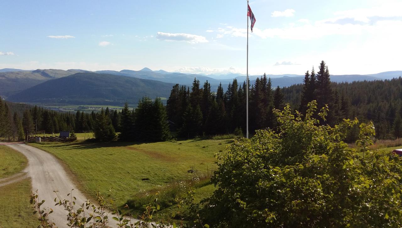 Tronsvangen Seter Alvdal Dış mekan fotoğraf